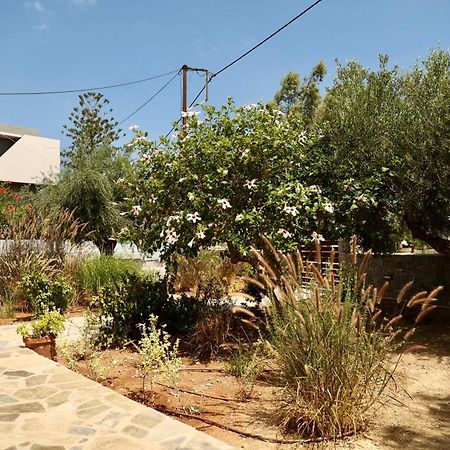 Cretanvibes Apartments Hersonissos  Exterior photo