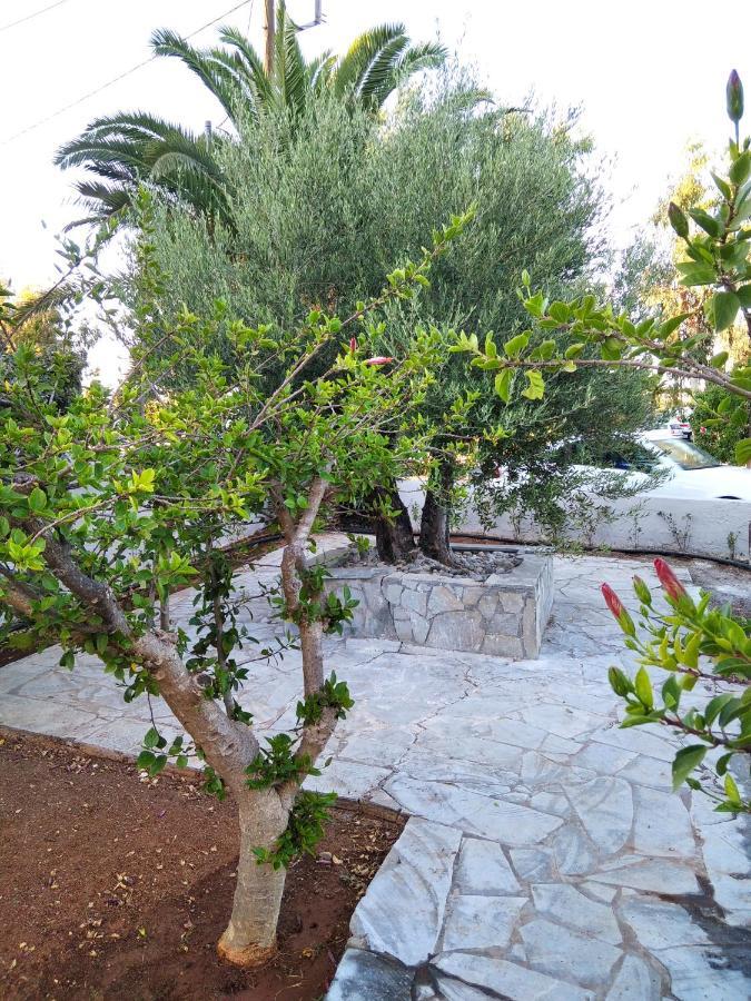 Cretanvibes Apartments Hersonissos  Exterior photo