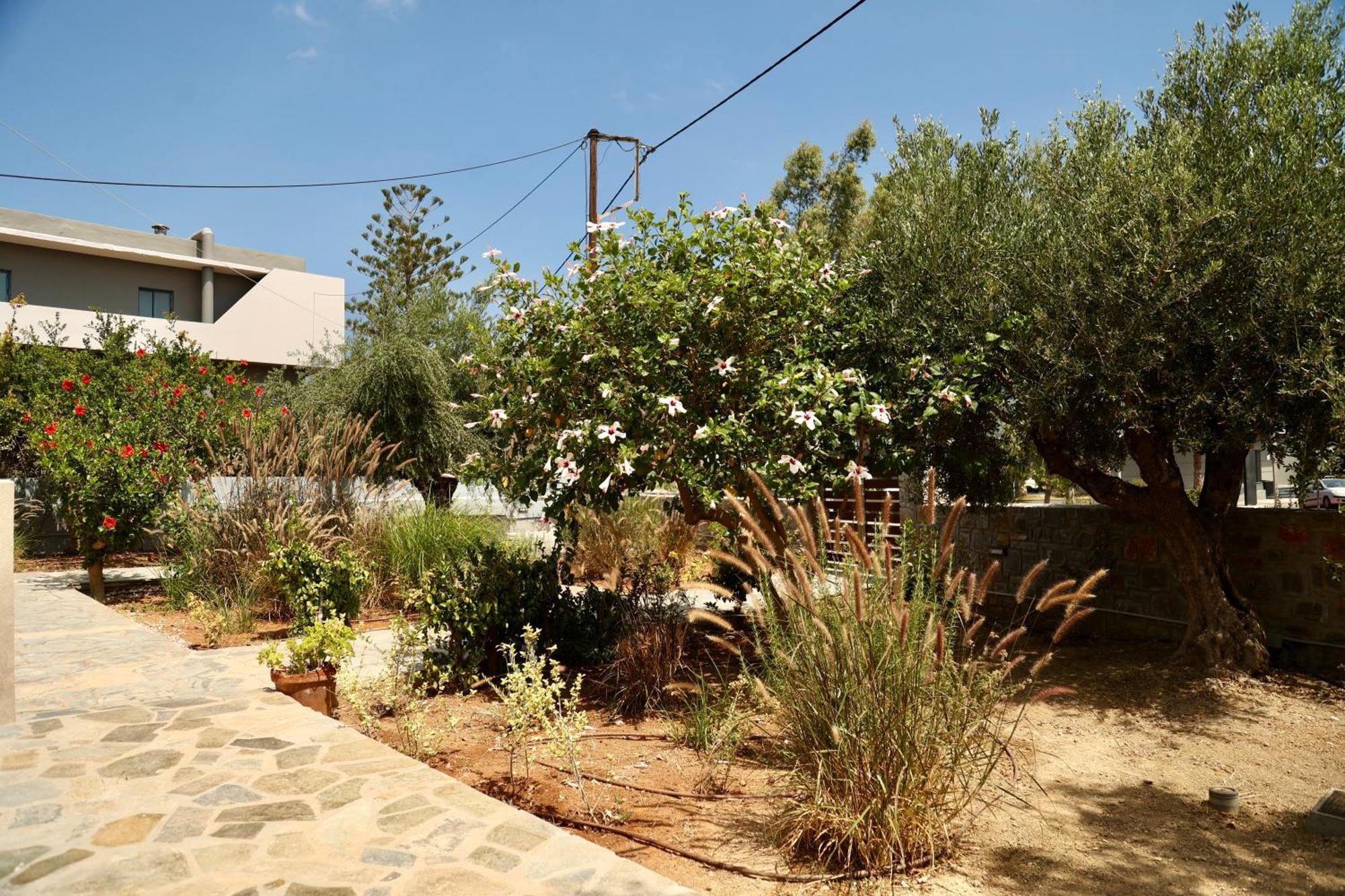 Cretanvibes Apartments Hersonissos  Exterior photo